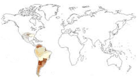 Acai Berry Map